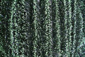 DSC04636
