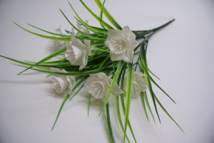 DSC00205
